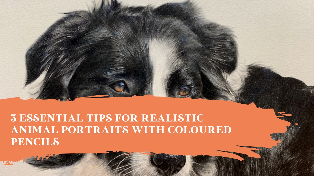 3 Essential Tips for Realistic Animal Portraits with Coloured Pencils