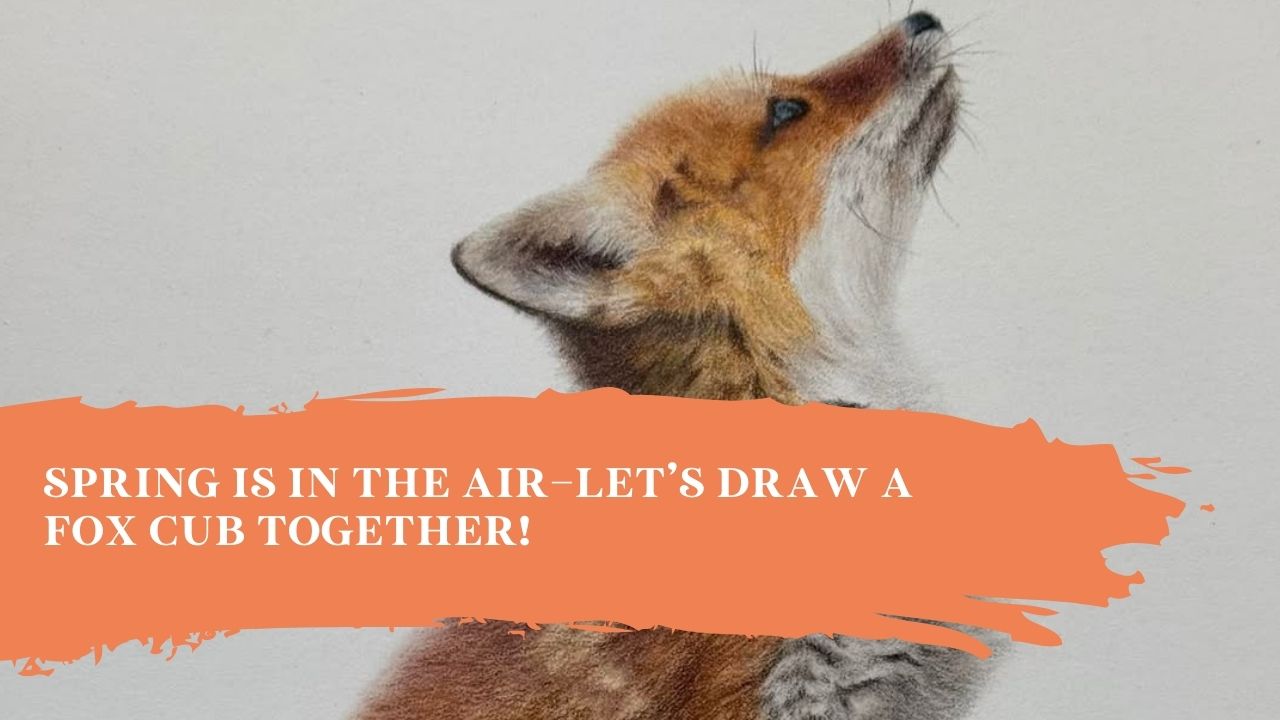 Spring is in the Air—Let’s Draw a Fox Cub Together!