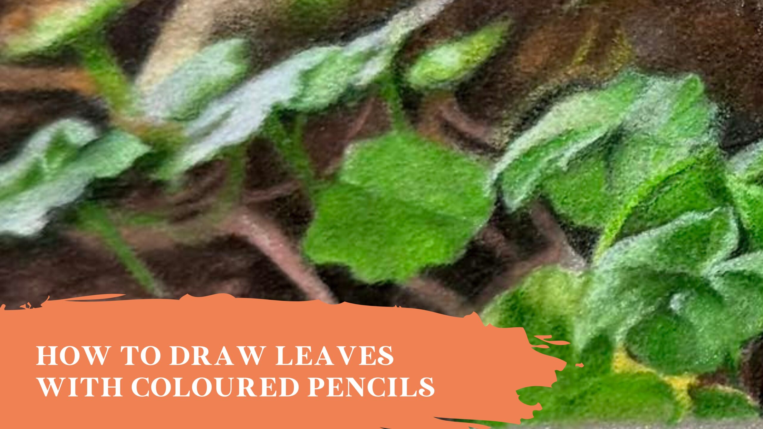 Drawing Leaves
