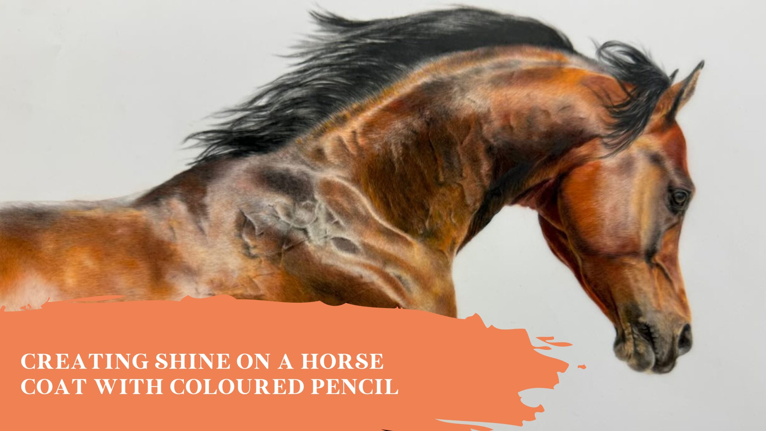 Creating Shine on a Horse Coat with Coloured Pencil