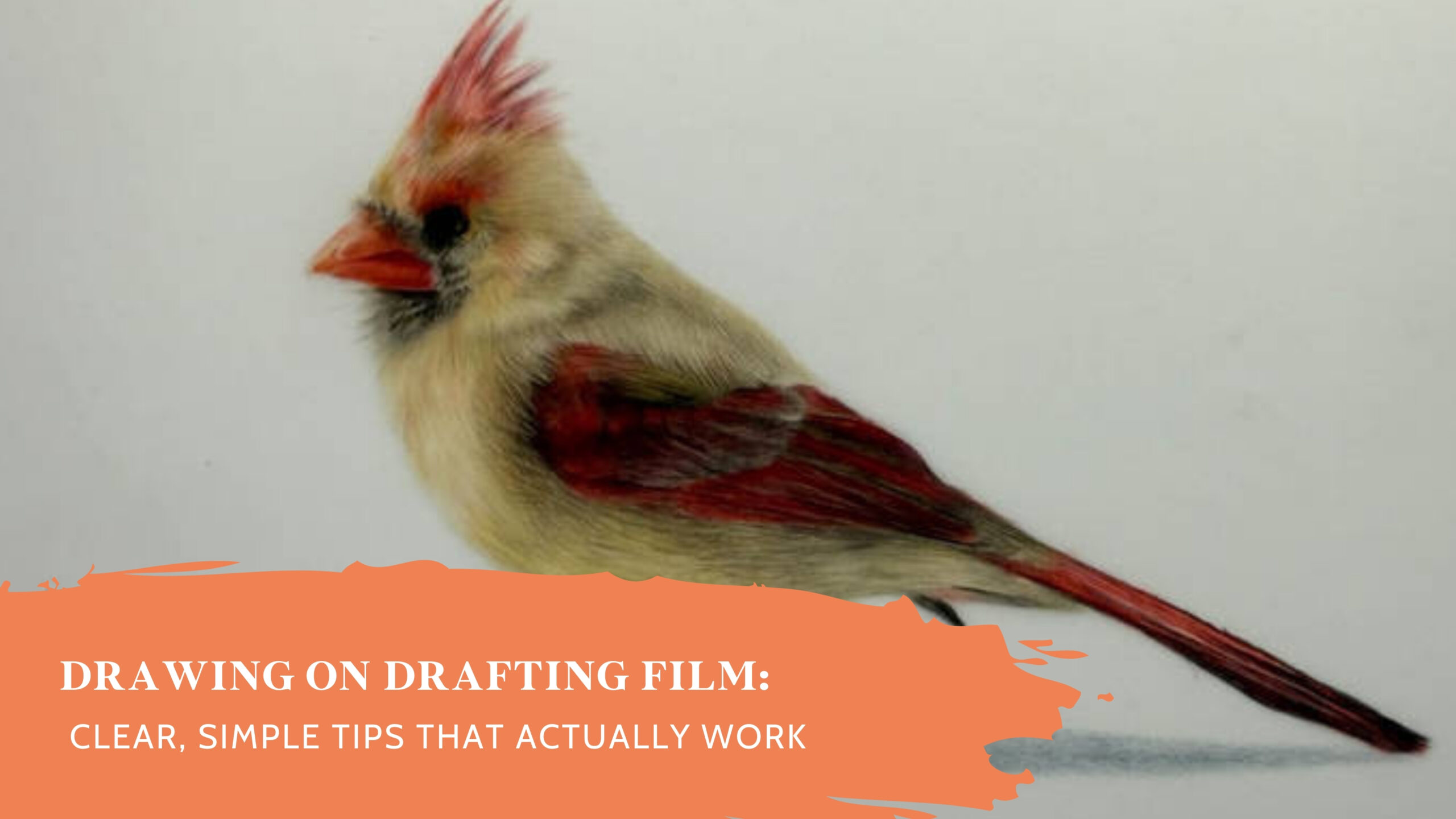 Drawing on Drafting Film: Clear, Simple Tips That Actually Work