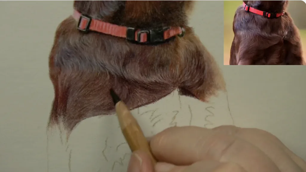 Soft chest fur under a red collar drawn in coloured pencil, with no outlines around the clumps