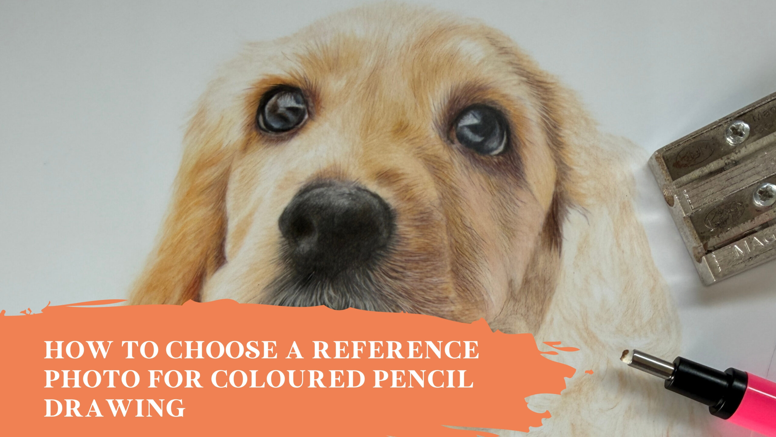 Choosing reference photos