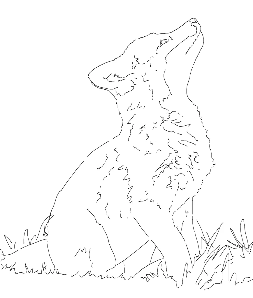 Fox line art transferred onto Clairefontaine Pastelmat, step 1 of how to draw a fox