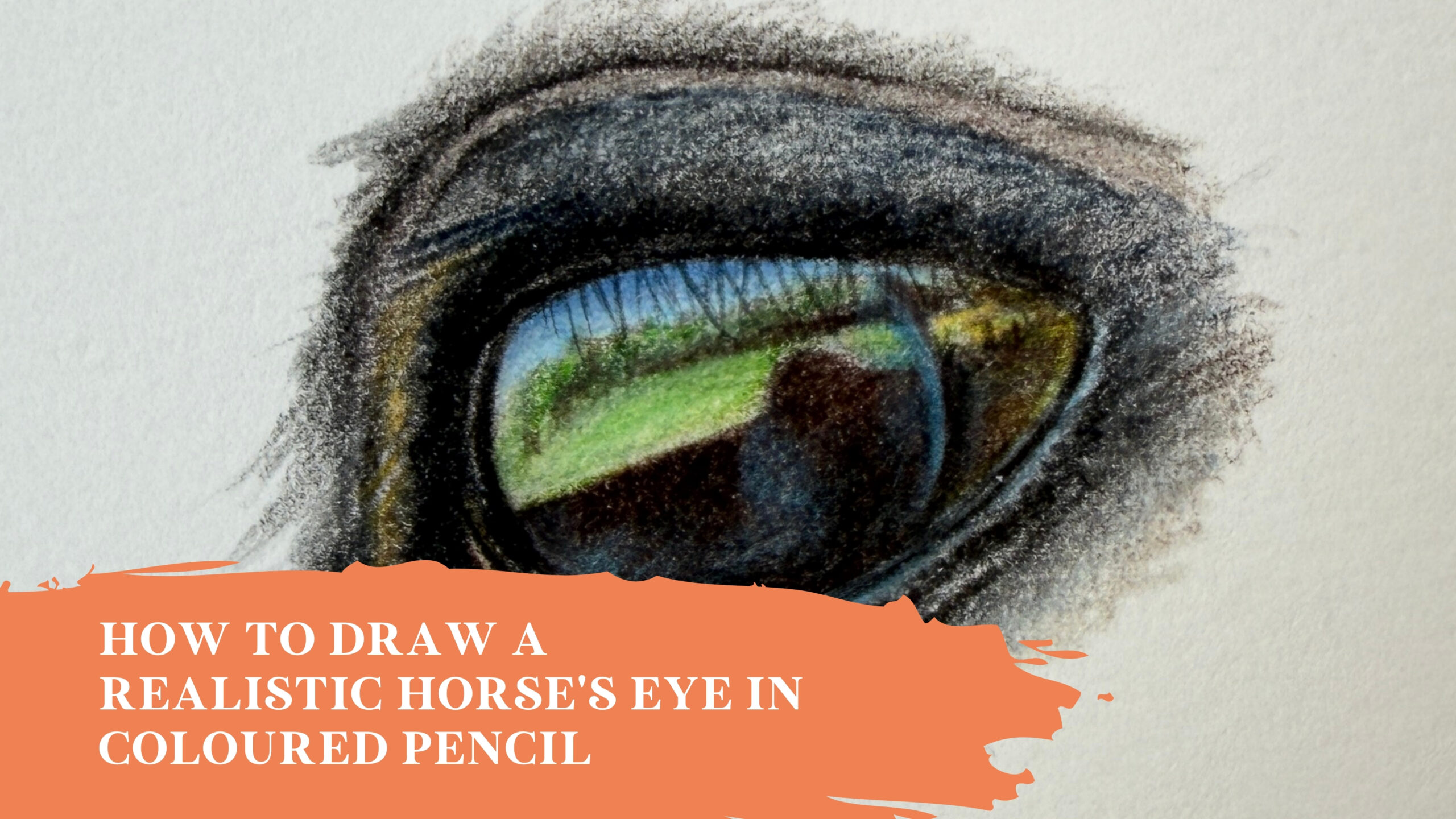 realistic horse eye
